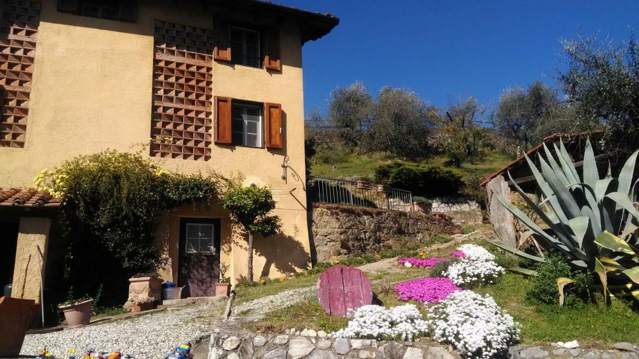 Casa Al Colle Villa Lucca Exteriör bild
